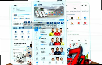 结构与搜索，理性平衡